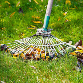 Garden Maintenance - Harveys Grounds Maintenance Cannock, Staffordshire