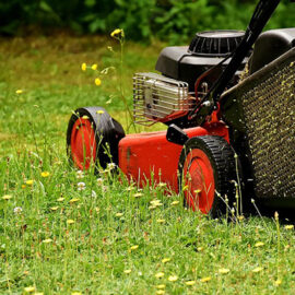 Grass Cutting - Harveys Grounds Maintenance Cannock, Staffordshire