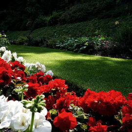 Lawn Borders - Harveys Grounds Maintenance Cannock, Staffordshire